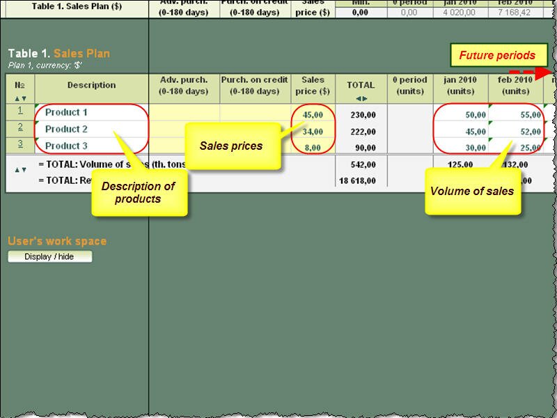 Enterprise Financial Model