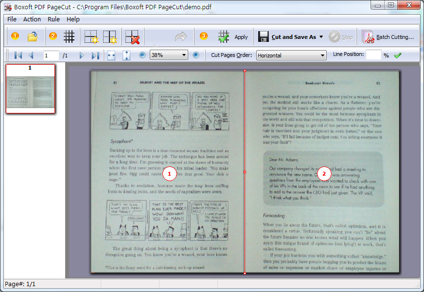 Boxoft PDF PageCut