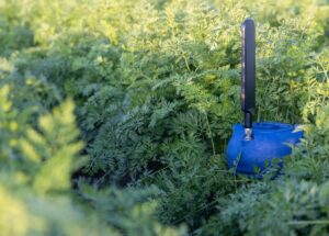 CropX Review 2026: AI Agriculture Software