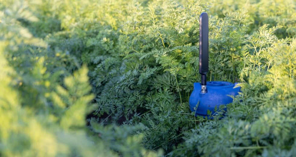 CropX Review 2026: AI Agriculture Software