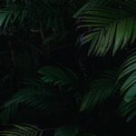 EvolutionaryScale official product visual