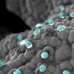 Generate:Biomedicines official product visual