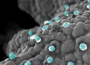 Generate:Biomedicines Review 2026: AI Protein Design Software